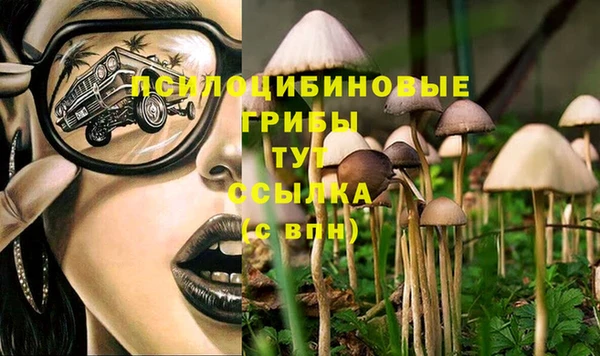 твердый Балабаново